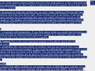 Special SEO eBook for Intuit Homestead Website