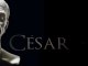César, le Rhône pour mémoire - Exposition à Arles
