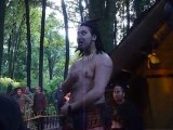 tamaki maori (47) apprentissage haka