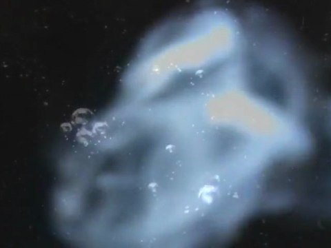 mes ailes du désir - Djawk