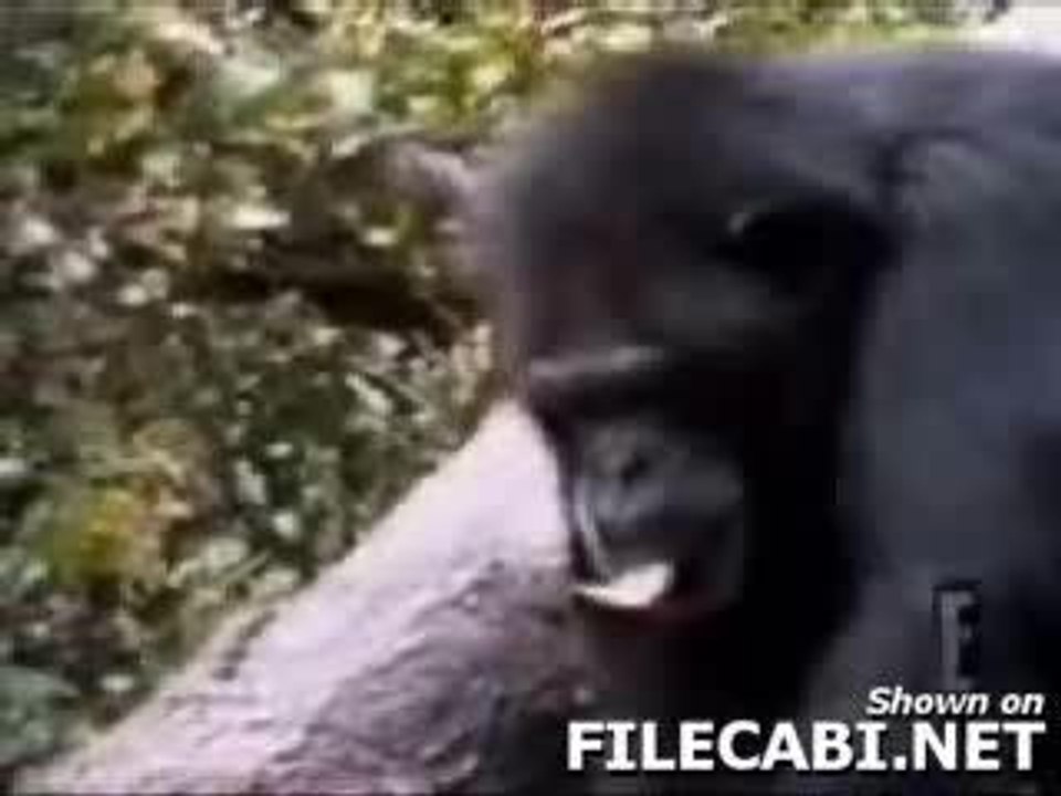 Scratch And Sniff