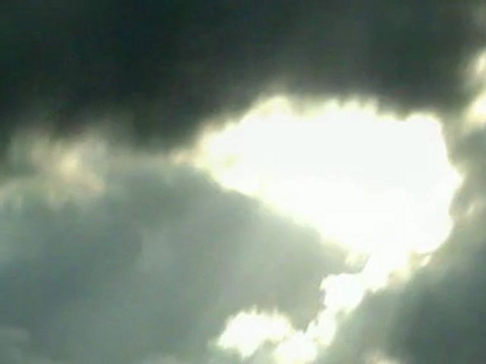 parapluie en papier - PieR - Djawk