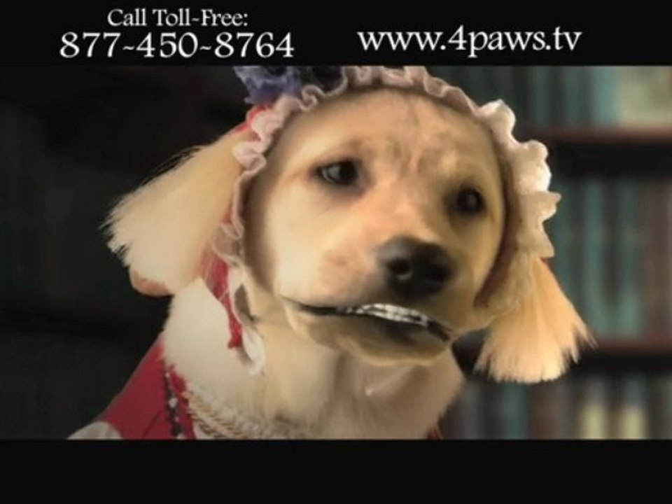 Heidi 4 Paws: Heidi Learns to Read