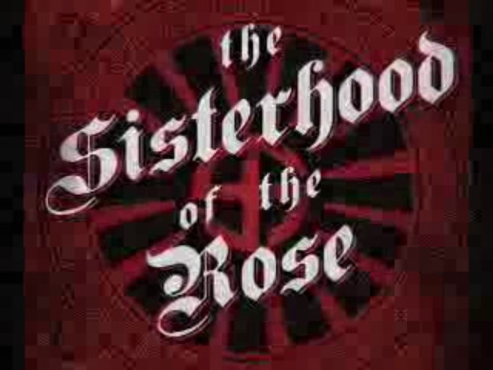 Sisterhood of the Rose Trailer
