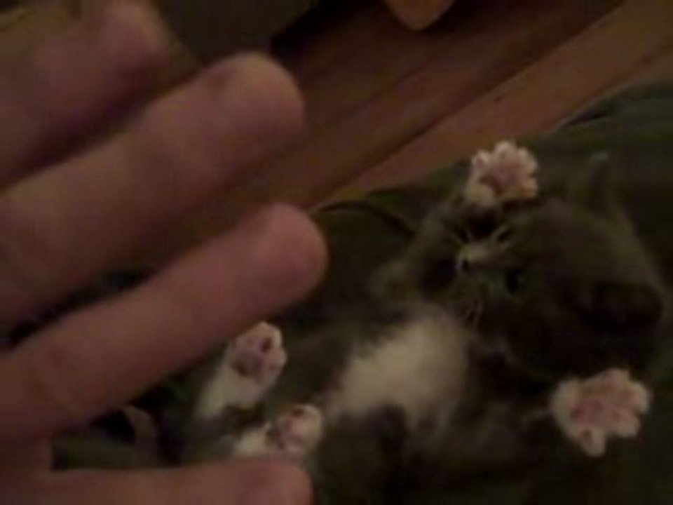 こちょこちょパー