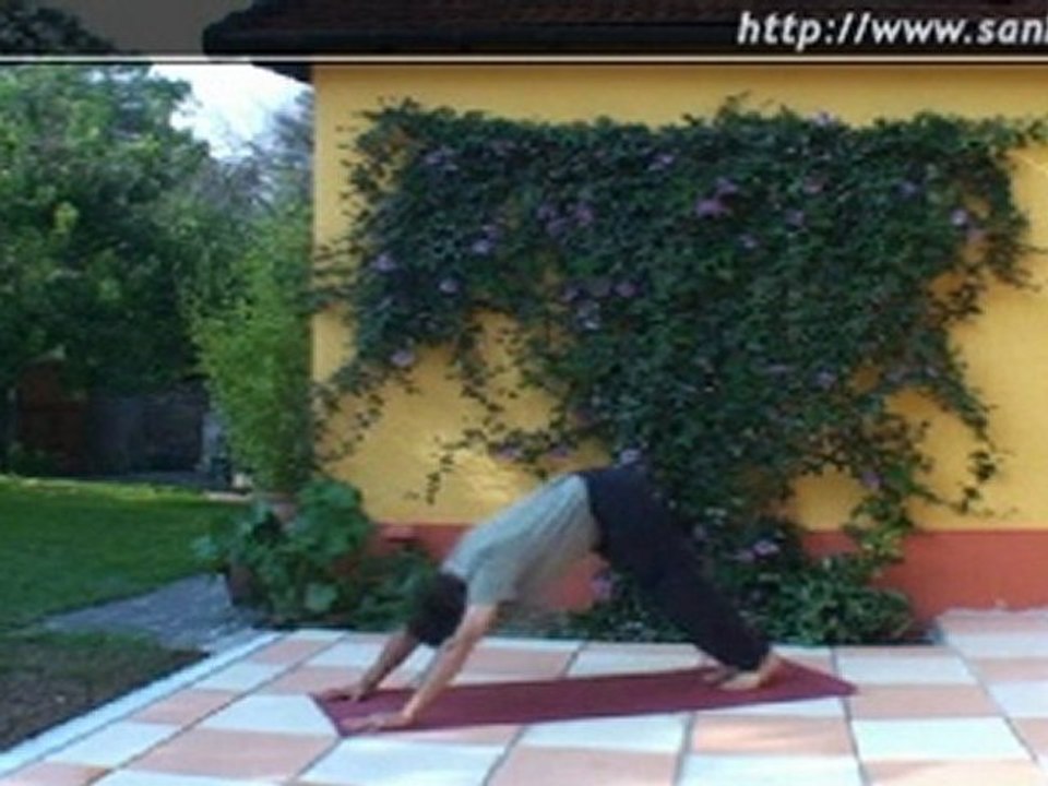 La salutation au soleil ou Surya Namaskar (www.sankara.fr)