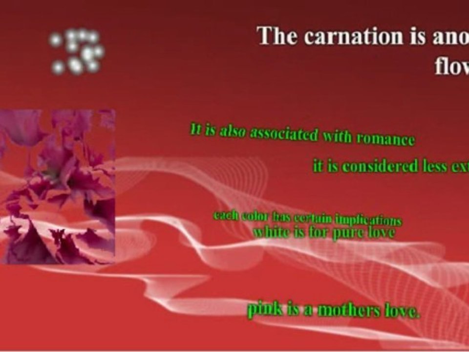 Meaning Behind Flowers