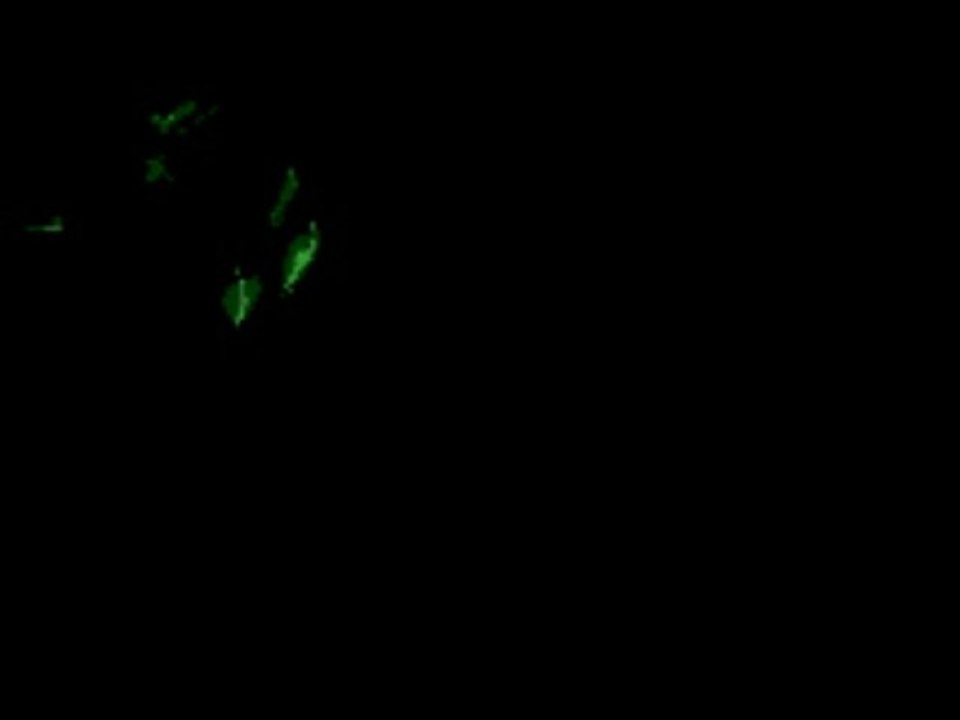 SEZEN AKSU ÖLÜRSEM YAZIKTIR