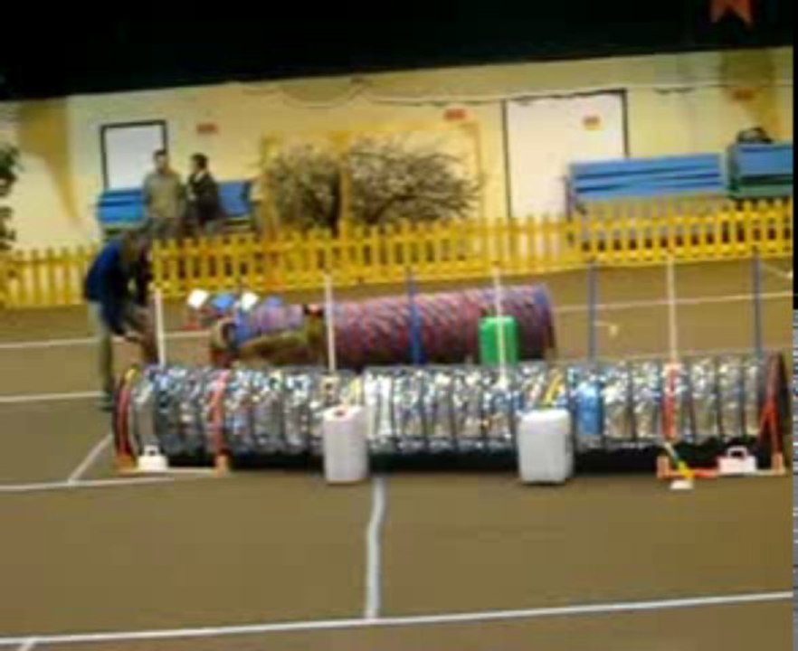 viet jumping(1)