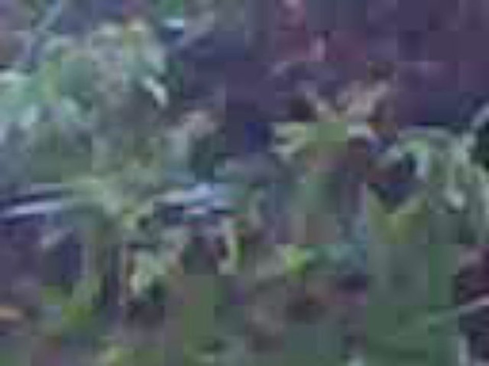 Video006