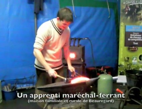 Le cheval Trait du Nord