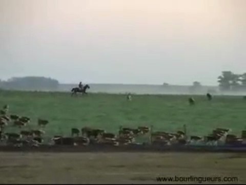 URUGUAY AMERIQUE du SUD - ESTANCIAS et GAUCHOS VOYAGE 4X4