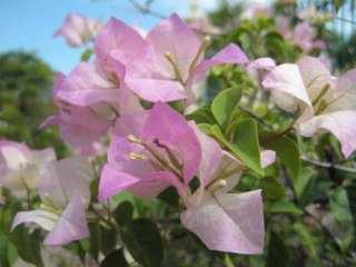 Quantum Unity: Beyond 2012 🌌