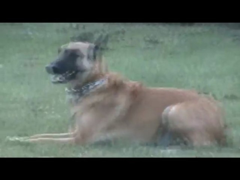 Ckerva obé vidéo octnov 2009