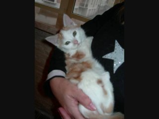 Hommage au bébé Shinji / Matéo