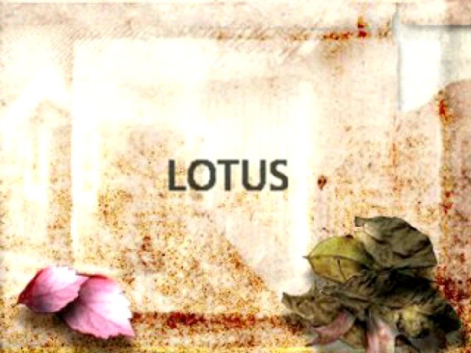 Stand Lotus à Epoqu'Auto 2009