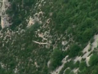 Sequence 1-H.264 LAN