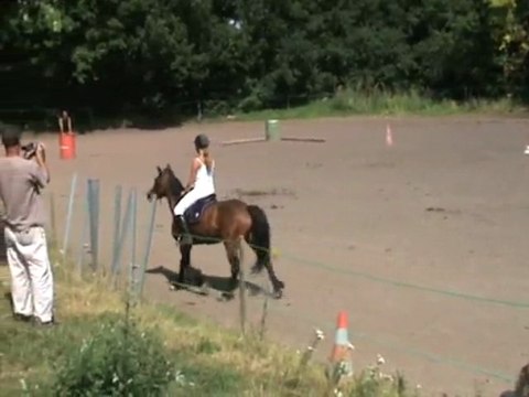 marion dressage
