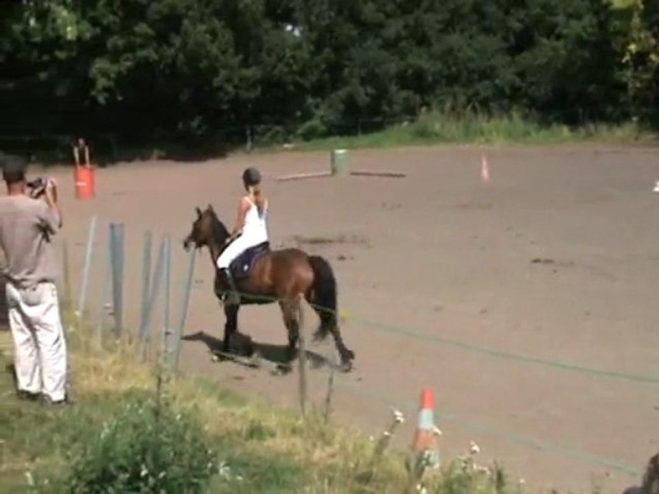 marion dressage