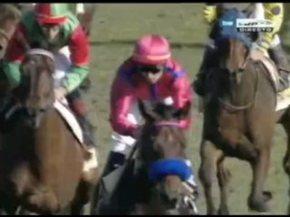 2006.12.31, nº 485 DH (Recup.Andaluza Vidreo(Hd 2ªp) WIDOWER