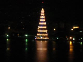 albero 2009 rio de janeiro