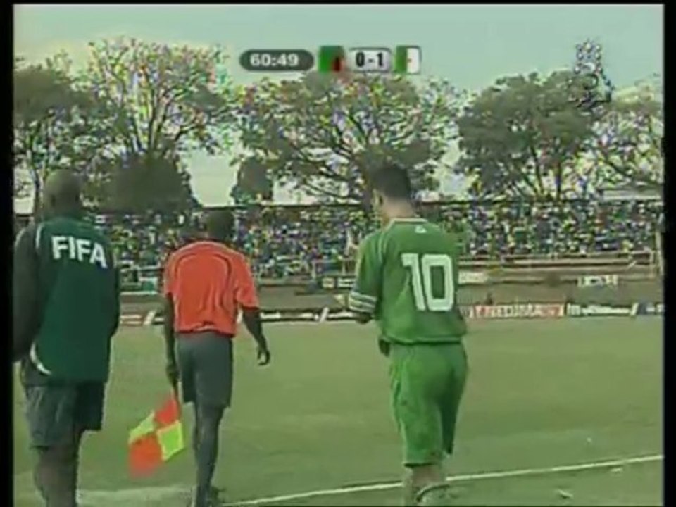 Le formidable parcours des Verts