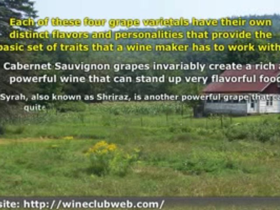 Types of Red Wine - Wine Basics Part 1