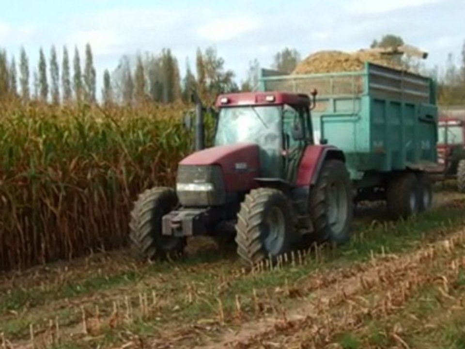 Ensilage  maïs 2009