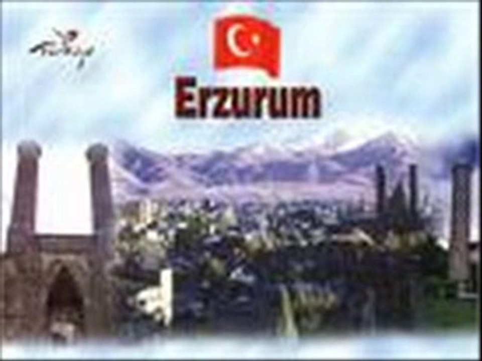 DADAŞ25
