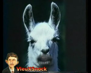 Medley Serge lama animalier