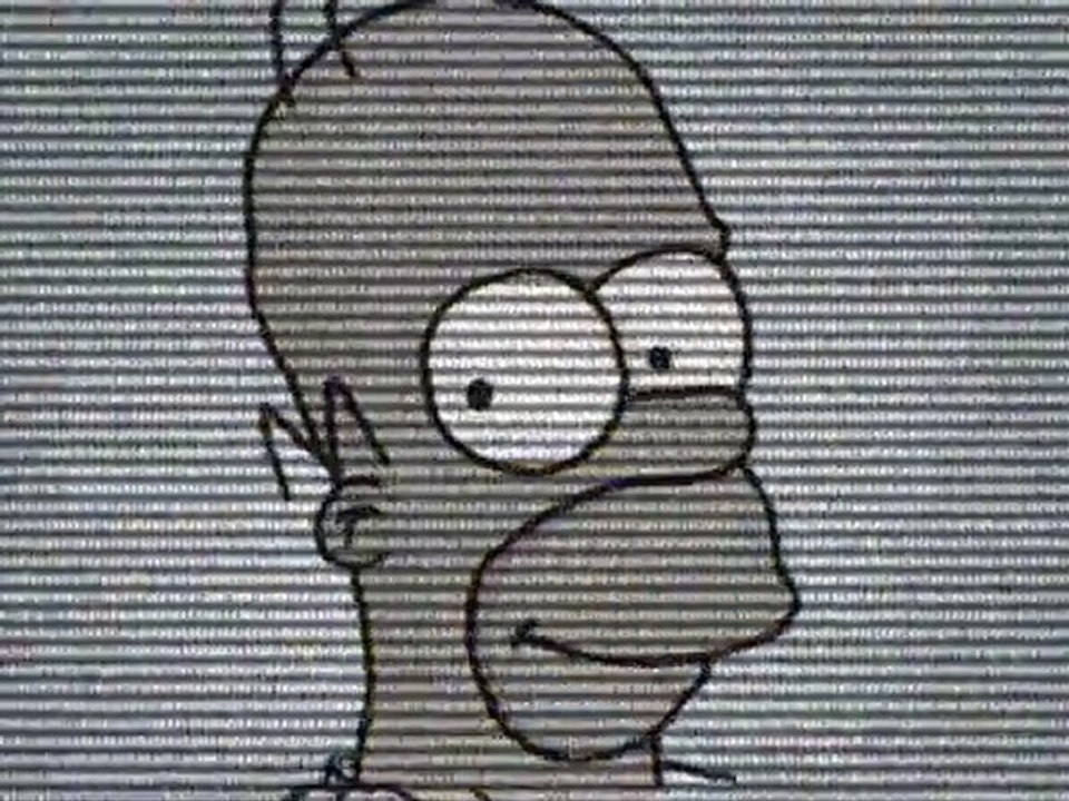 Homer Simpson: Internet User