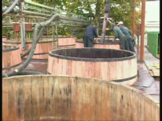 Fabrica de vin Doina-Vin