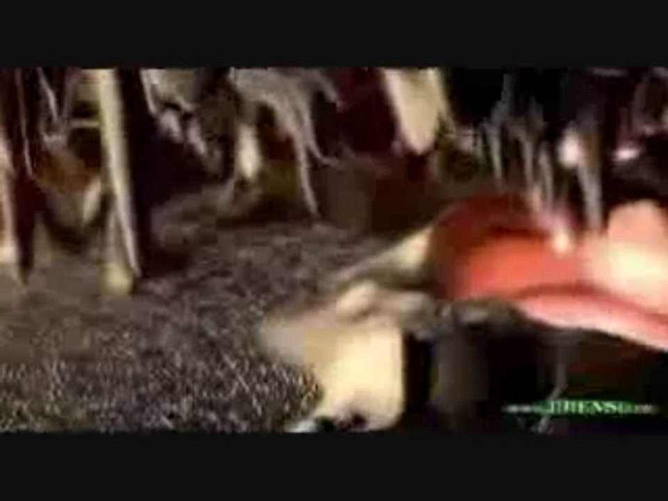 South park matrix reloaded