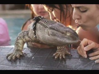 Fool's Gold - Surprise Hotel