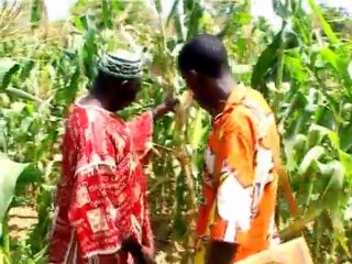 De l'engrais au compte gouttes pour l'agriculture