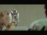 Les Chèvres du Pentagone - Bande-Annonce - VOST