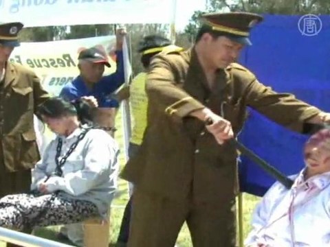 Канадский адвокат: «Извлечение органов продолжается»