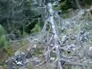 Sortie du 2 Décembre 2009 (3eme partie)