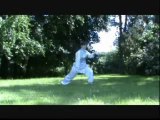 Qi gong et Tai chi Chuan, les trésors de la CHINE