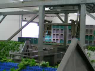 Ligne de lavage légumes et fruits et Robot vide palox