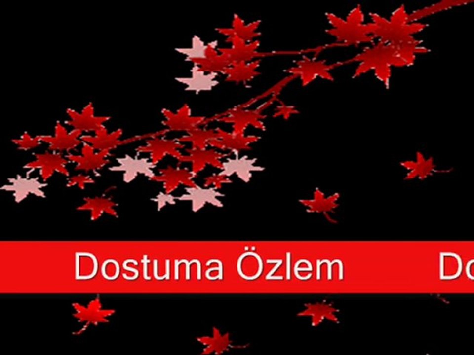 Dostuma Özlem