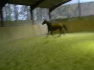 Bou-Bou en délire !