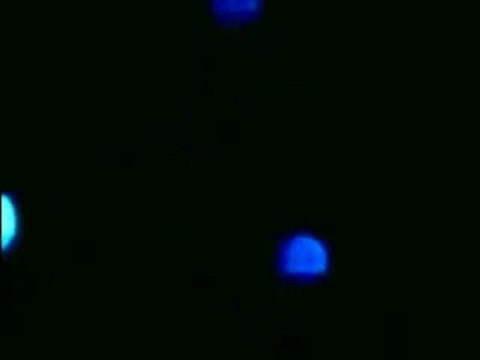 Triangle UFO over Miami, Florida November 2009