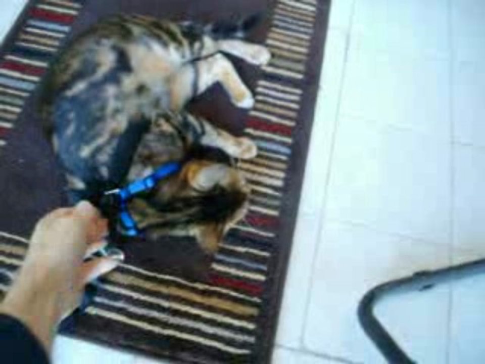 She just falls over.