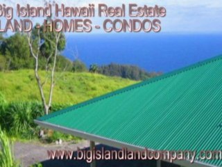 Big Island Real Estate