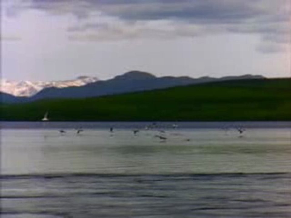lake view