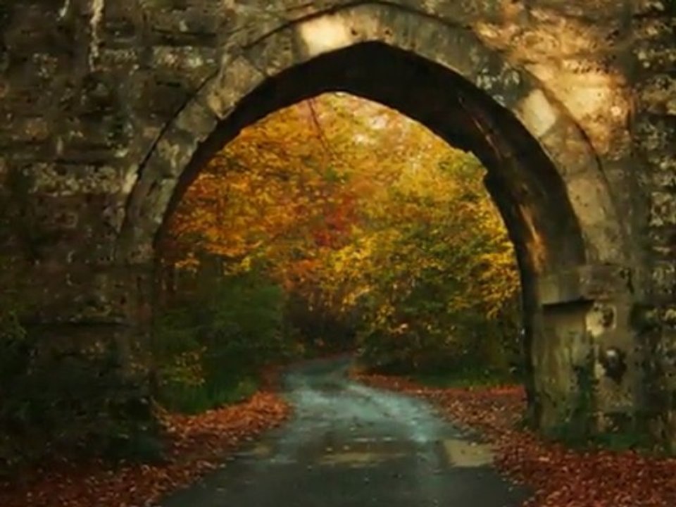 Autumn colors