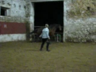 Pelham Obstacle Liberté