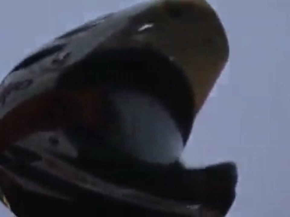 Reprise hivernale 2009