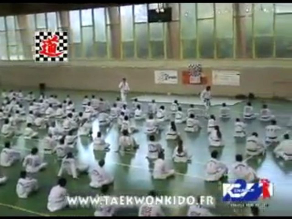 Grand stage technique Taekwonkido du Cénacle - novembre 2009